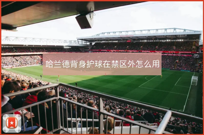 哈兰德背身护球在禁区外怎么用